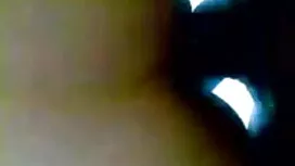 শৃঙ্গাকার প্রতিবেশী  ...