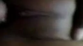 যাচাইকৃত অ্যাকাউন্ট  ...