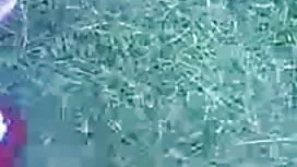 বিশুদ্ধ সুন্দরি সেক্ ...
