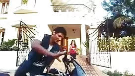 ছবি গ্যালারীর ফুফাতো ...