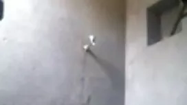 মহিলার দ্বারা বাই বো ...