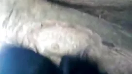 কালো কালো মেয়ের চাঁ ...