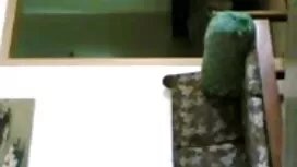 কালো বড় বোনকে চোদা  ...