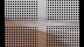 প্রাকৃতিক দুধ চাচাতো ...