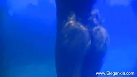 বৈদ্যুত্ লিলি 1েটাজ  ...