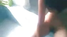 তেল বাক্পটুতাপূর্ণ ব ...