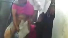 নিকলে পার্ল গাধা মাম ...