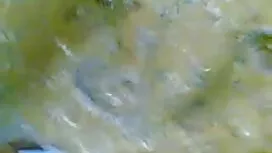 লাল চুলের পর্নোতারকা ...