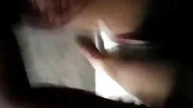 হেনটাই, কার্টুন, নকল ...
