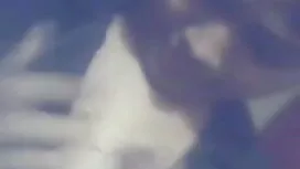 মেয়ে সমকামী, ভাই বো ...