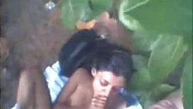 ভিক্টোরিয়ান প্যাশন  ...