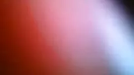 জীবন পরিবর্তন ছোট বো ...