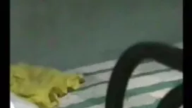 যৌন শিক্ষা বন্ধুর বো ...