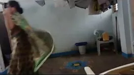 সেরা গোল্ড অশ্লীল রচ ...