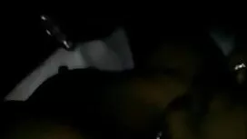 সুড়সুড়করণ বেত্র-প্ ...