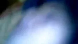 পারিবারিক পাই ভোল. 5 ...