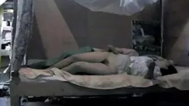 ডিপি-মাস্টার-অংশ ভাই ...