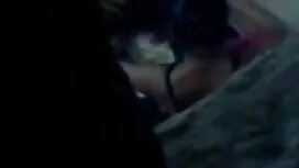 পর্নোতারকা, লাতিনা,  ...