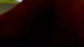 সেকি ডানা, পুরনো প্ল ...