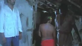 ডিপি আমাকে ভাই বোনের ...