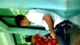 পালের গাদা রসালো মেয ...
