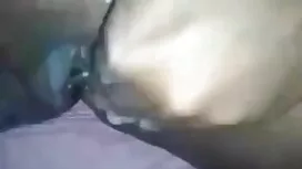 গৃহস্থালী ভাই বোনের  ...