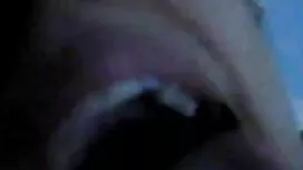 এক্স-কনফিগ ফোল 2 মাম ...