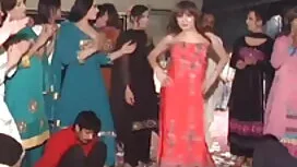 বনবিড়াল ধর্ষণ 2 (20 ...