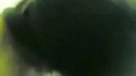 অপেশাদার বাঁড়ার রস  ...