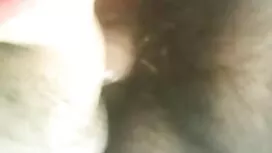 LegalPorno - TS Kimb ...