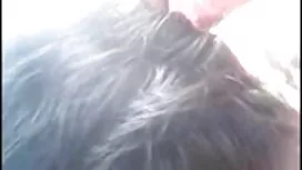 বড়ো মাই, বোনকে চুদা ...