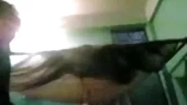খেলনা, চাঁচা, বোনকে  ...