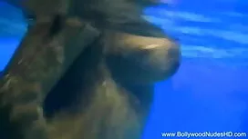 লিজ বিবাহিত বড় বোনক ...