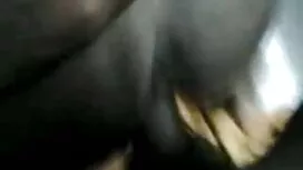স্বামী ও স্ত্রী বোনক ...