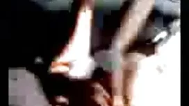 কুয়াশা মধ্যে. পর্ব  ...