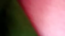 ক্রিস্টিনা আপন ভাই ব ...