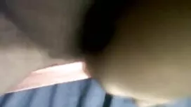 প্যাক 1 ইংলিশীল (201 ...