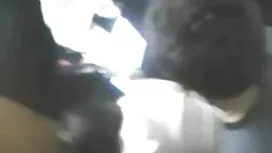 শূন্য ধৈর্য ভাই বোনে ...