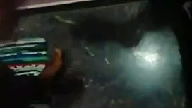 ব্ল্যাক প্রত্যাহার!  ...