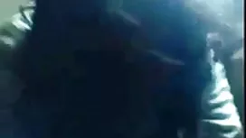 কোং লিমিটেড বোনকে চো ...