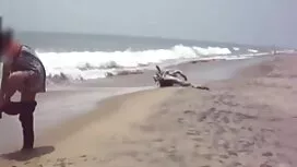 সাদা আউট বোনকে চোদার ...