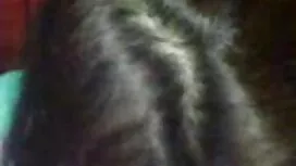 জার্মান ব্যক্তিগত দম ...