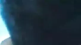 ফ্রিডকিনসাইড পিটি বো ...