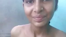 নকল মানুষের, হেনটাই, ...