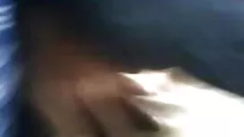 তুমি কখনই ভোলকে জানো ...