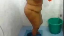 ব্লজব স্বামী ও ভাই ব ...